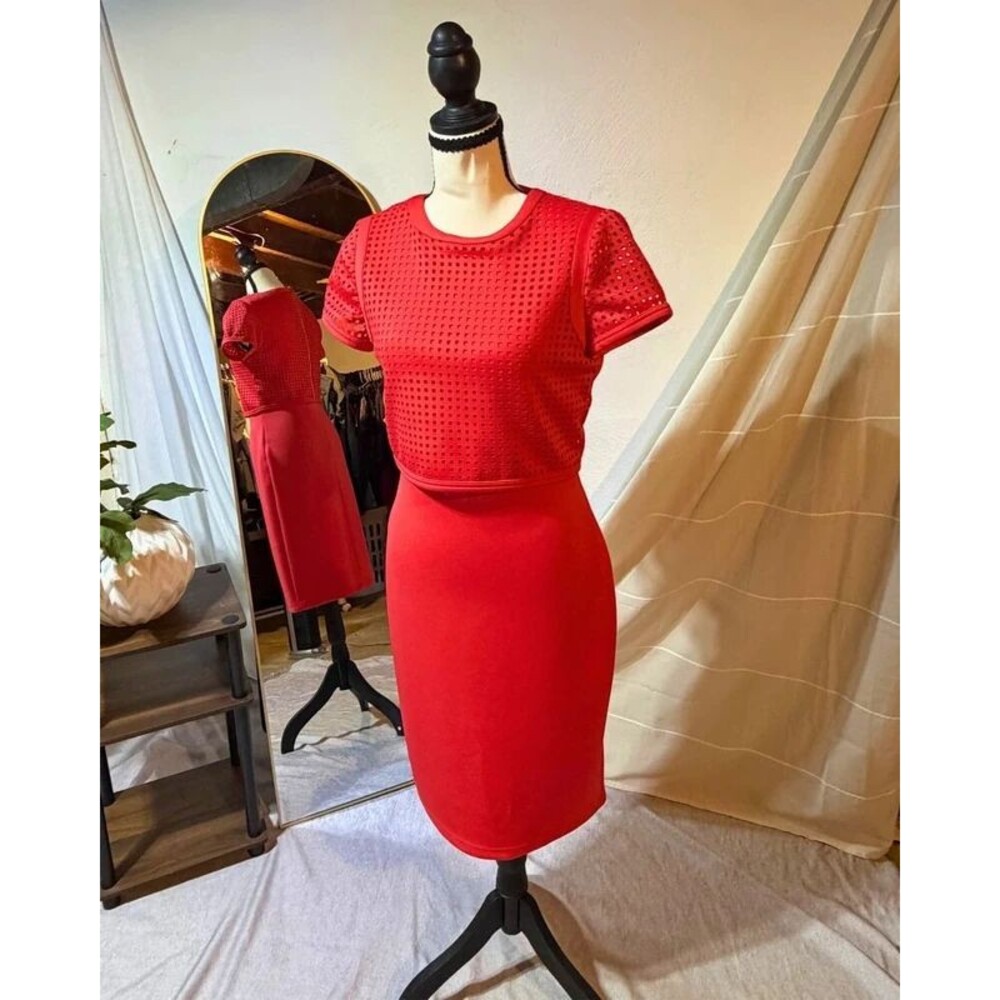 Calvin Klein Red Perforated Sheath Dress Size 4 Gold Zip Cocktail Work Dress